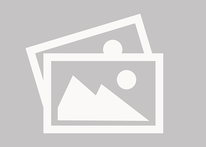 IMPEXIMP Security Solutions